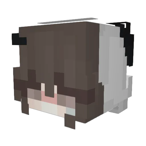 ZedVid Minecraft avatar head, 3D render