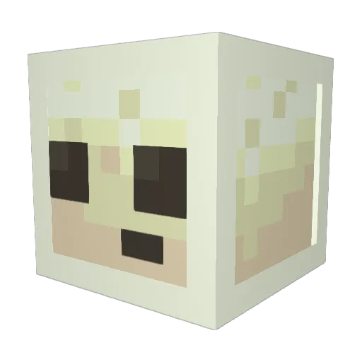 Zed_Ducky Minecraft avatar head, 3D render
