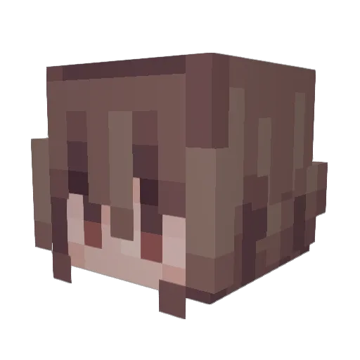 Zeddere Minecraft avatar head, 3D render
