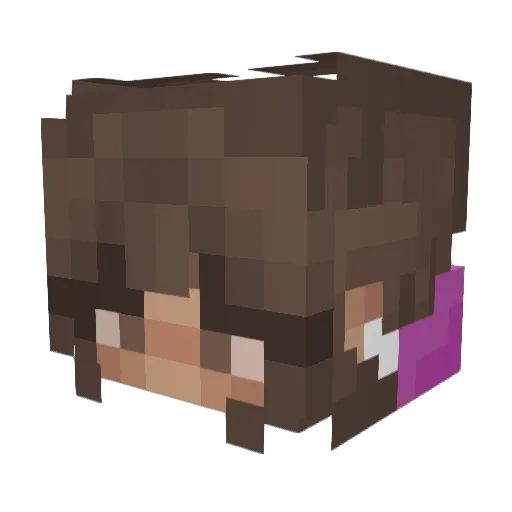 Zeddy2020 Minecraft avatar head, 3D render
