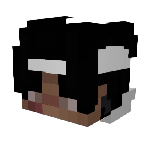 Zeddyx0 Minecraft avatar head, 3D render
