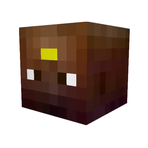 Zede71 Minecraft avatar head, 3D render