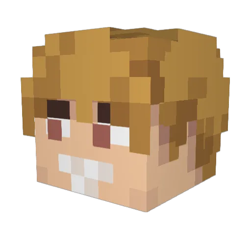 Zedix_25 Minecraft avatar head, 3D render