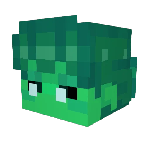Zedmin05 Minecraft avatar head, 3D render