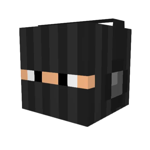Zee388 Minecraft avatar head, 3D render