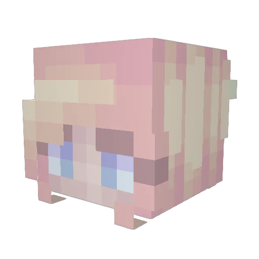 ZeeBee77 Minecraft avatar head, 3D render