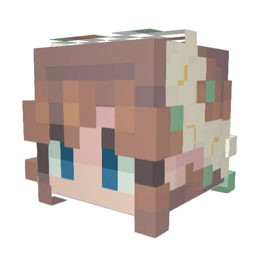 ZeebaNeighba_ Minecraft avatar head, 3D render