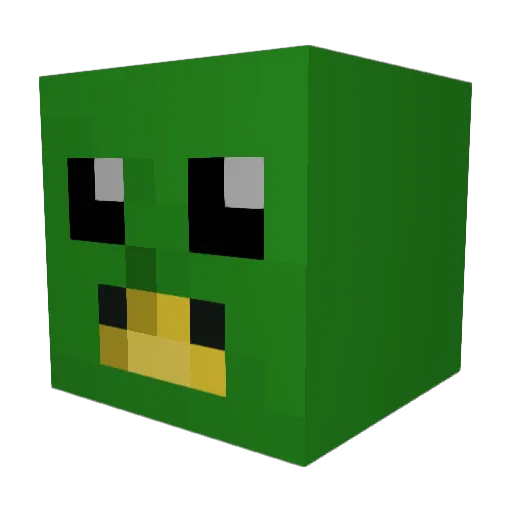 Zeebirb Minecraft avatar head, 3D render