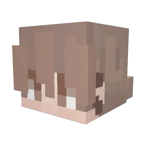 Zeebiu Minecraft avatar head, 3D render