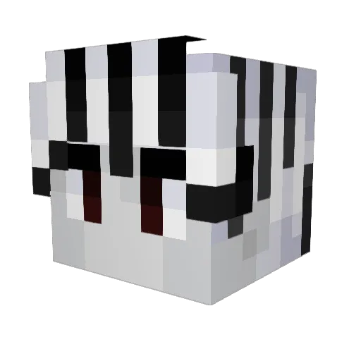 ZeebraX_ Minecraft avatar head, 3D render