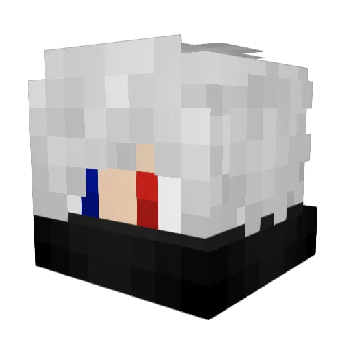 ZeedFunk Minecraft avatar head, 3D render