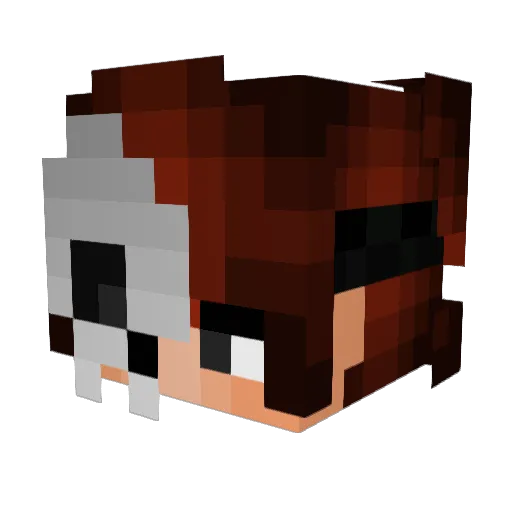 Zeeedo Minecraft avatar head, 3D render