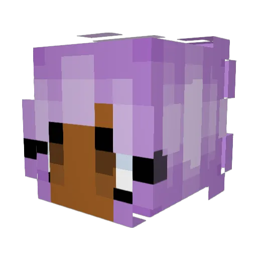 Zeeeeeee0_0 Minecraft avatar head, 3D render