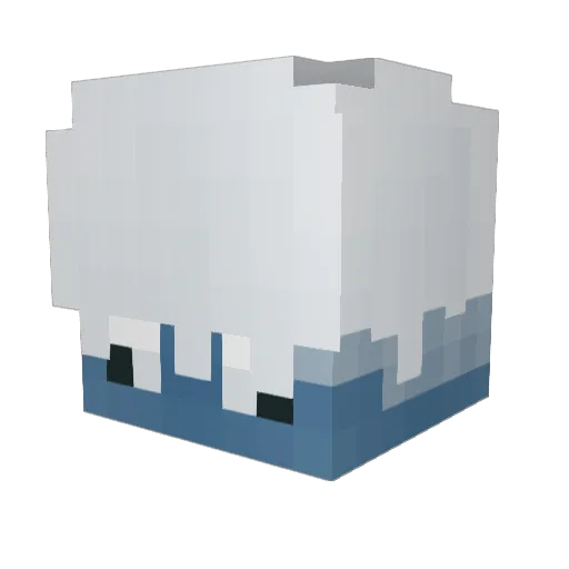 Zeef_e Minecraft avatar head, 3D render