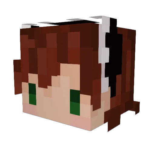 Zeefoy Minecraft avatar head, 3D render