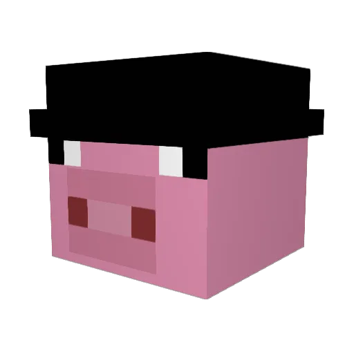 Zeekee22 Minecraft avatar head, 3D render