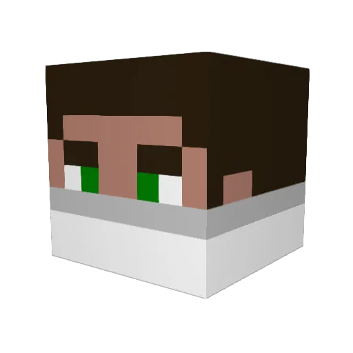 Zeeker1441 Minecraft avatar head, 3D render