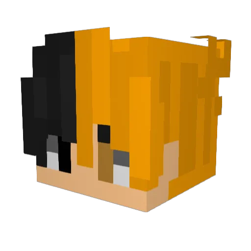 ZeemanLover Minecraft avatar head, 3D render