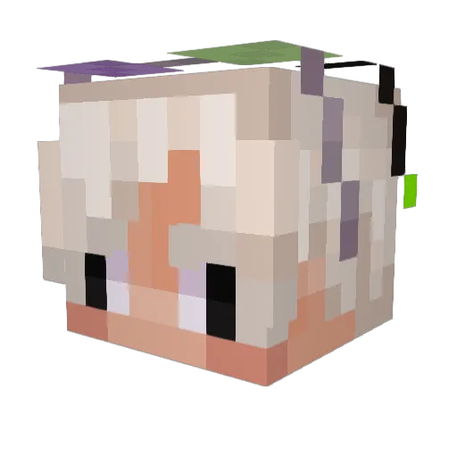 Zeenna831 Minecraft avatar head, 3D render