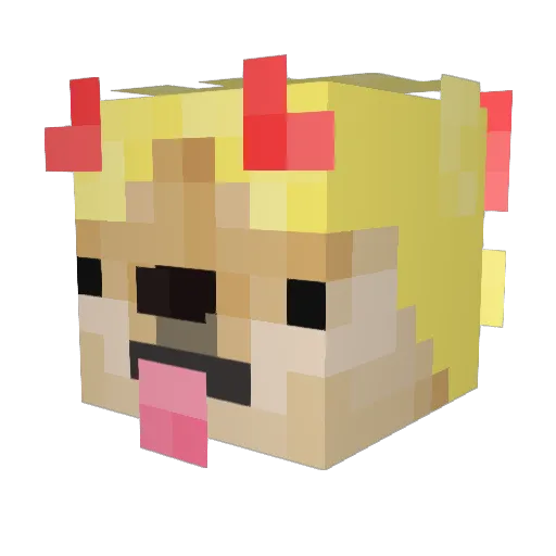 Zeenyx Minecraft avatar head, 3D render