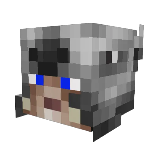 Zeenz Minecraft avatar head, 3D render
