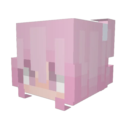 Zeester0505 Minecraft avatar head, 3D render