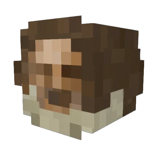 Zeet1119 Minecraft avatar head, 3D render