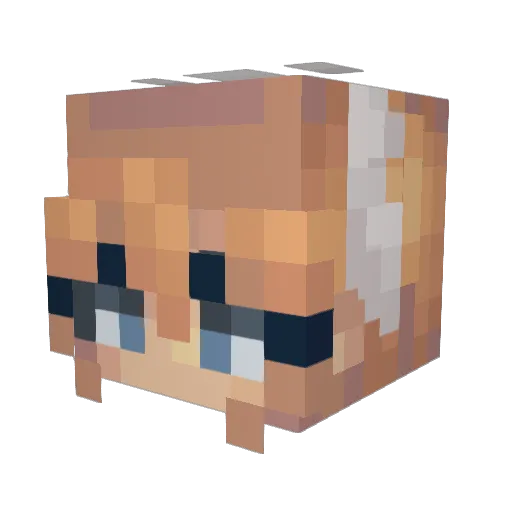 ZeezusKrist Minecraft avatar head, 3D render