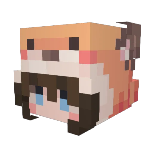 Zef66 Minecraft avatar head, 3D render
