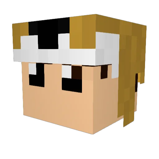 Zefex Minecraft avatar head, 3D render
