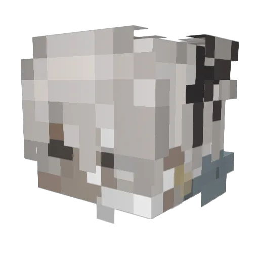 Zeffly_ Minecraft avatar head, 3D render
