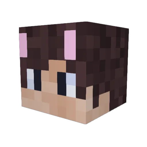 Zeffo Minecraft avatar head, 3D render