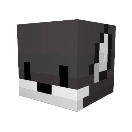Zeglin Minecraft avatar head, 3D render