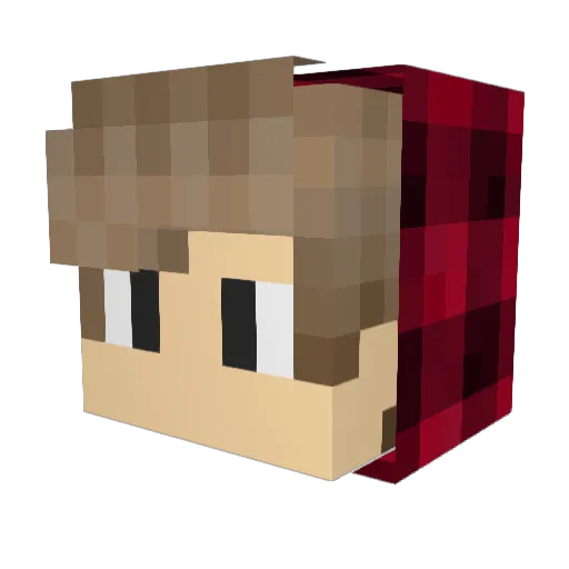 ZehColmeia Minecraft avatar head, 3D render