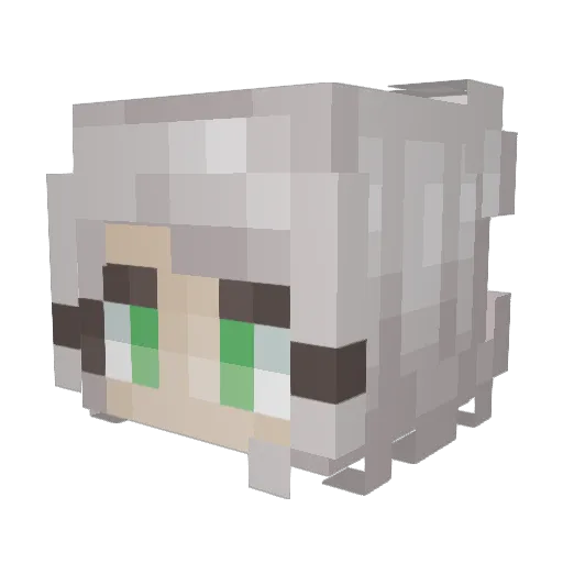 Zeighera Minecraft avatar head, 3D render