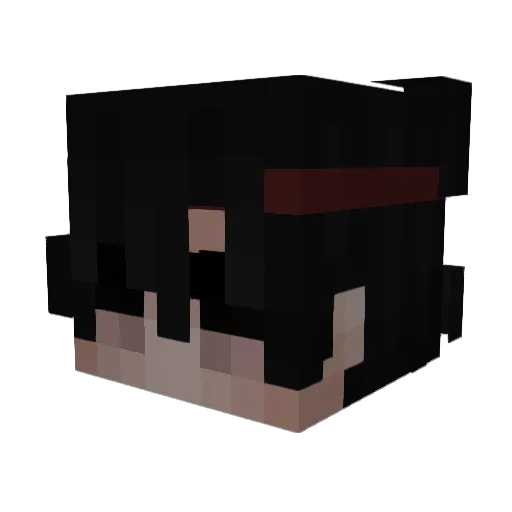 Zeils Minecraft avatar head, 3D render