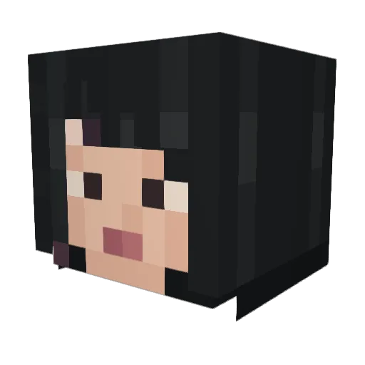 ZeinCraft Minecraft avatar head, 3D render