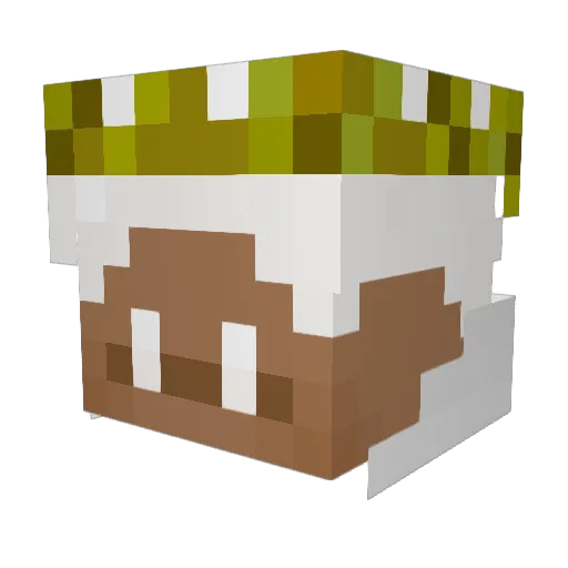 Zeithammerhenri Minecraft avatar head, 3D render