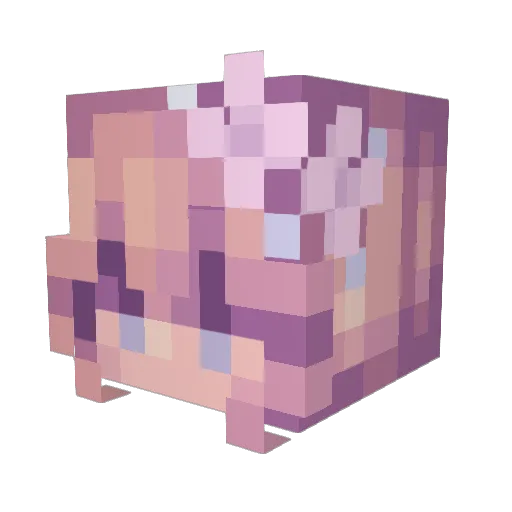 Zejtan Minecraft avatar head, 3D render