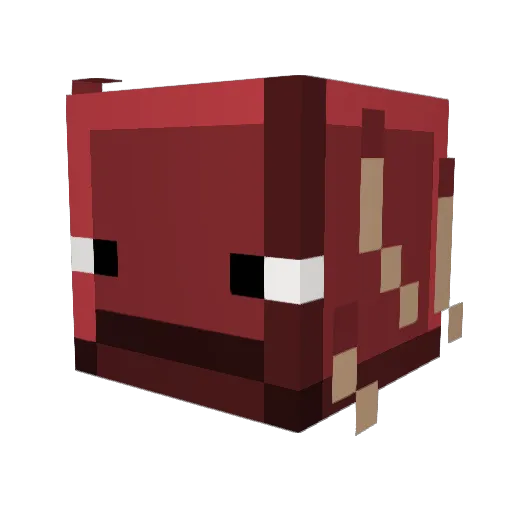 Zeke00 Minecraft avatar head, 3D render