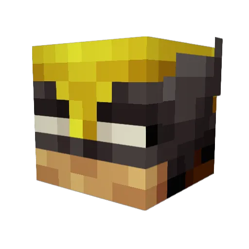 Zeke11113 Minecraft avatar head, 3D render
