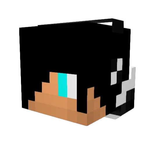 Zeke1984 Minecraft avatar head, 3D render