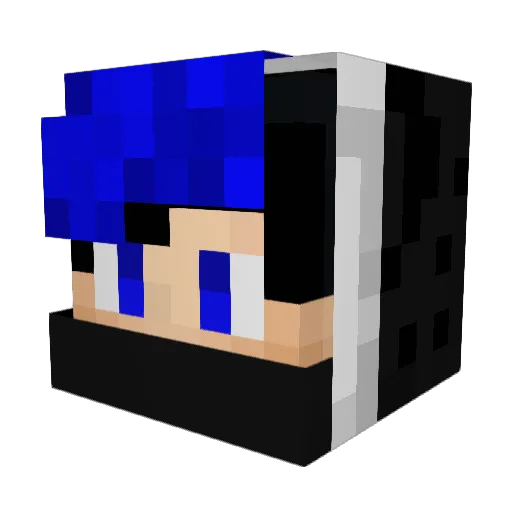 Zekrom3656 Minecraft avatar head, 3D render