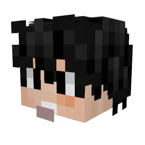 Zekrom_1 Minecraft avatar head, 3D render
