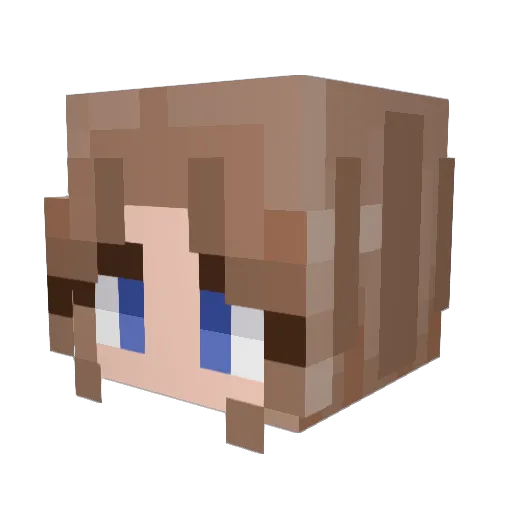 Zel002 Minecraft avatar head, 3D render