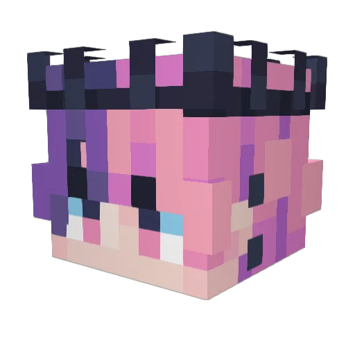 Zel1nk_ Minecraft avatar head, 3D render