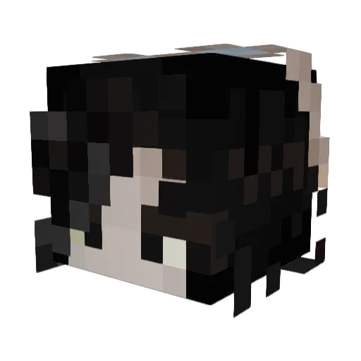 ZelZoZu Minecraft avatar head, 3D render