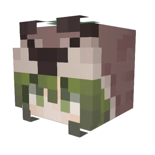 Zel_fl Minecraft avatar head, 3D render