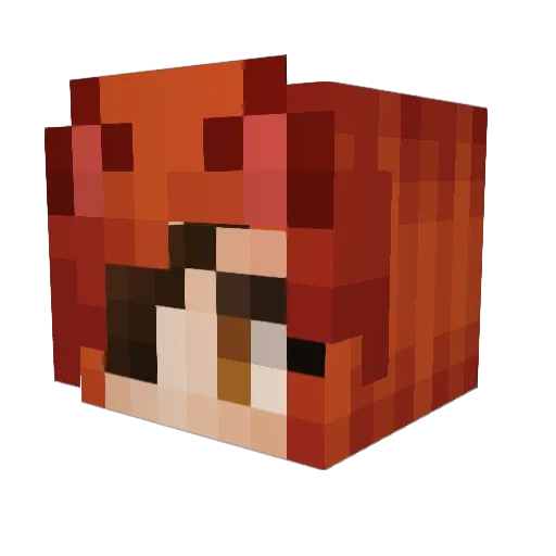 Zelda11215 Minecraft avatar head, 3D render
