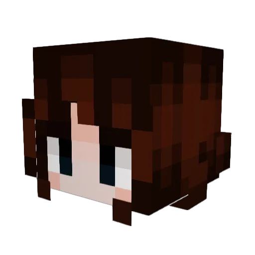 Zelda122012 Minecraft avatar head, 3D render